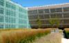 Roof garden with ornamental grasses